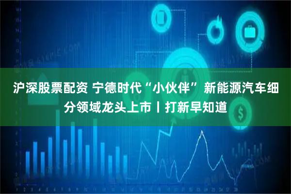 沪深股票配资 宁德时代“小伙伴” 新能源汽车细分领域龙头上市丨打新早知道