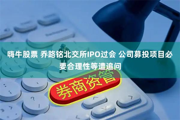 嗨牛股票 乔路铭北交所IPO过会 公司募投项目必要合理性等遭追问