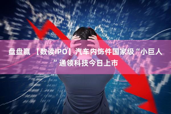 盘盘赢 【数读IPO】汽车内饰件国家级“小巨人”通领科技今日上市