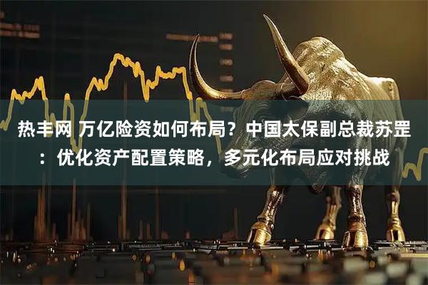 热丰网 万亿险资如何布局？中国太保副总裁苏罡：优化资产配置策略，多元化布局应对挑战