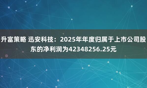 升富策略 迅安科技：2025年年度归属于上市公司股东的净利润为42348256.25元